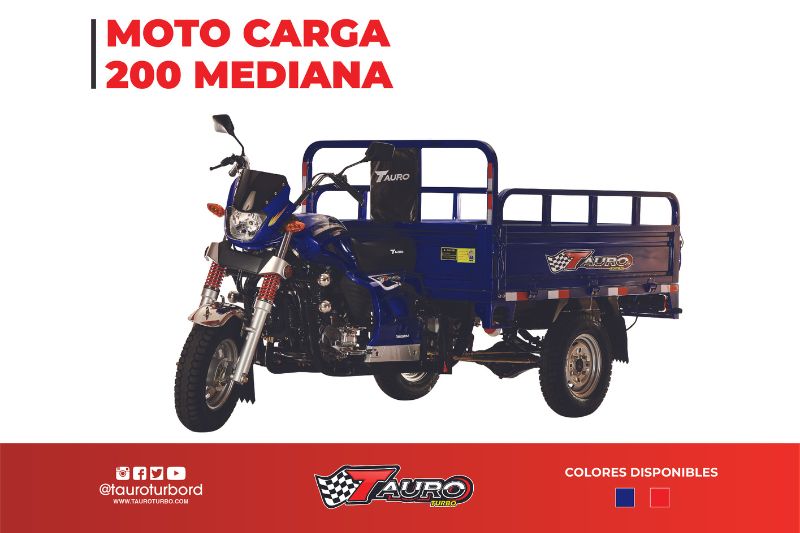 MOTO CARGA 200 MEDIANA