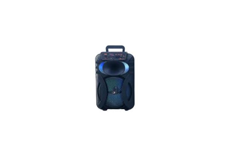 BOCINA BLUETOOTH 10P BT1001