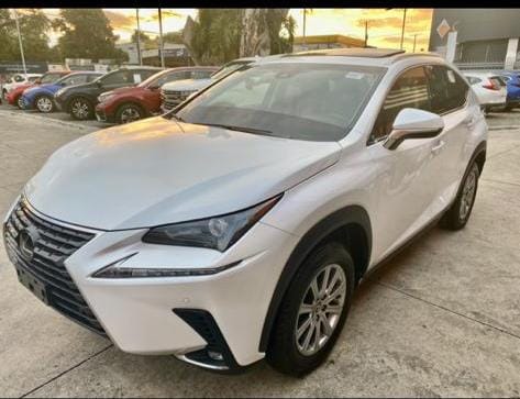Lexus Nx 300 Blanco 2019